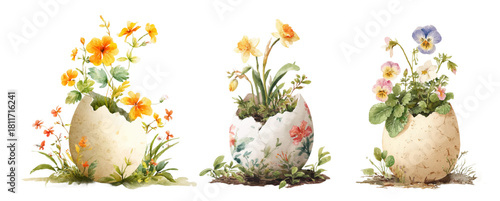 Cracked eggshell with delicate botanical flowers and spring blossoms. Easter and spring elements hand drawn illustration. Eggshell with flowers. Vector illustration.