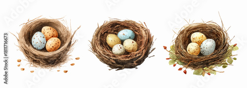 Watercolor set of a nest with spotted eggs. A bird's nest made of brushwood with spotted eggs in it. Spring elements of birdhouses. Cute elements for Easter. Vector illustration.