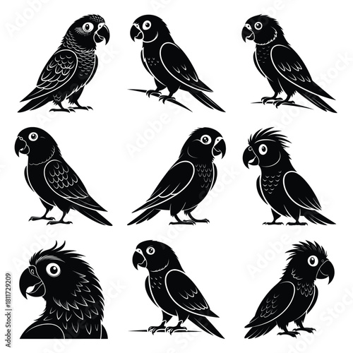 Quadro su tela Set of vector black cheeky parakeet silhouette icon