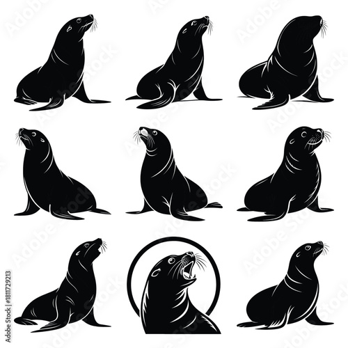 Set of vector black chuckling seal silhouette icon. Isolated black animal shape design element.