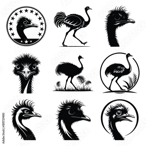 Set of vector black crazy ostrich silhouette icon. Isolated black animal shape design element.