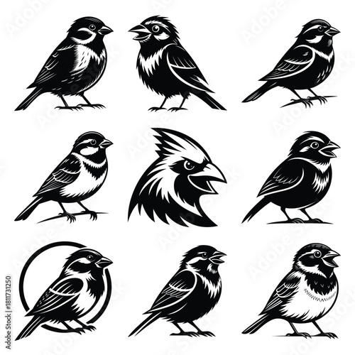 Set of vector black grinning sparrow silhouette icon. Isolated black animal shape design element.