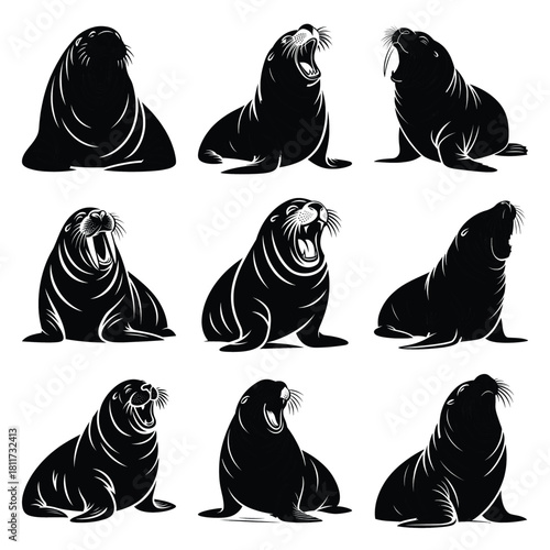 Set of vector black laughing walrus silhouette icon. Isolated black animal shape design element.