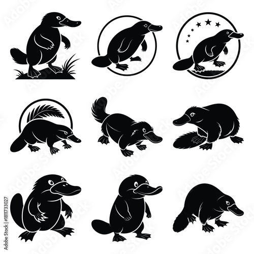 Set of vector black silly platypus silhouette icon. Isolated black animal shape design element.