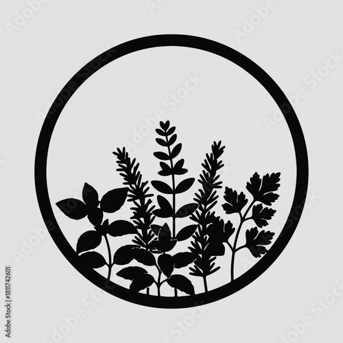 Illustrator Fresh aromatic herbs in a circle frame Silhouette vector