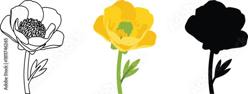 Simple Buttercup Flower Icon Set - Outline, Color, and Silhouette Vector