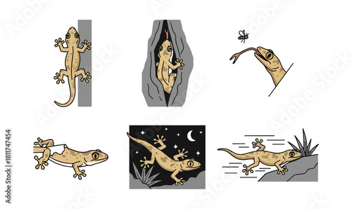 Gecko illustrations various poses and actions isolated on black