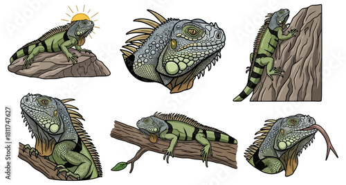 Green iguana illustrations on rocks and branches in various poses