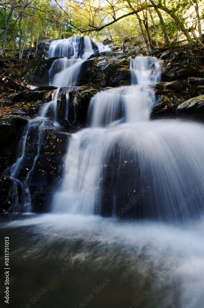 Fototapeta premium A beautiful little cascade in Pisgah National Forest, North Carolina. Cool, flowing water washes over dark rocks in this scenic Blue Ridge Mountains stream. 