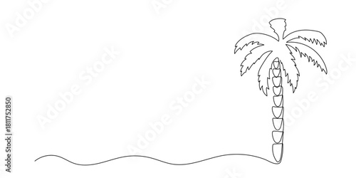 Palm tree continuous line illustration. Hand drawn doodle vector sketch isolated on white background.
