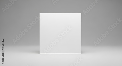 Blank white rectangular box mockup standing upright on a light grey background, perfect for product packaging design
