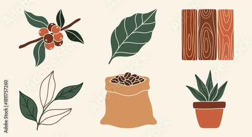 Collection of hand-drawn illustrations featuring coffee plants, beans, wooden textures, and a potted succulent, depicting natural and rustic elements.