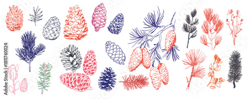 Winter fir cones and branches doodle set of hand-drawn festive holiday illustrations