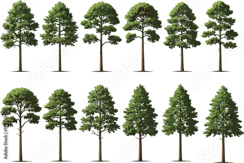 Set of twelve evergreen pine and conifer tree vector illustrations featuring diverse shapes and green foliage isolated on white background for nature landscape design projects.