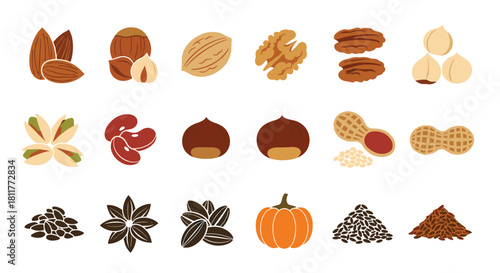 Large illustrated collection of various nuts seeds and beans including almonds walnuts and peanuts on white background.