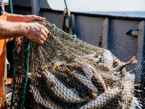 Commercial fisherman hauling heavy net full of fresh fish on boat deck sea ocean catch seafood industry trawler marine harvest occupation outdoor worker water vessel profession nature food 