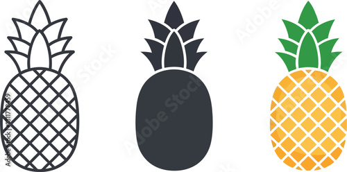 Pineapple icon set isolated on white background, Vector, illustration
