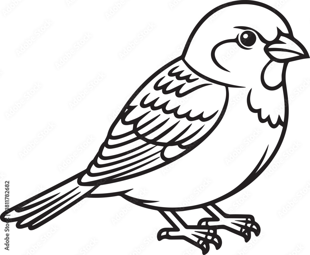 Fototapeta premium sparrow bird line art coloring page