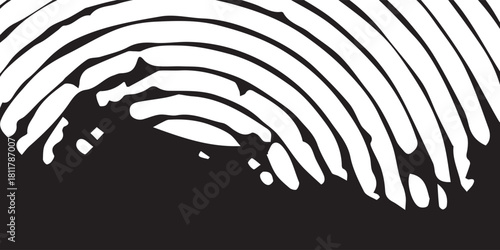 Fingerprint Black White Arcs Identification Security Biometrics Use, featuring security identification biometrics for system authentication with distinct fingerprint arcs