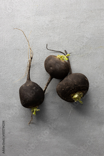 Overhead view of three winter black radishes roots