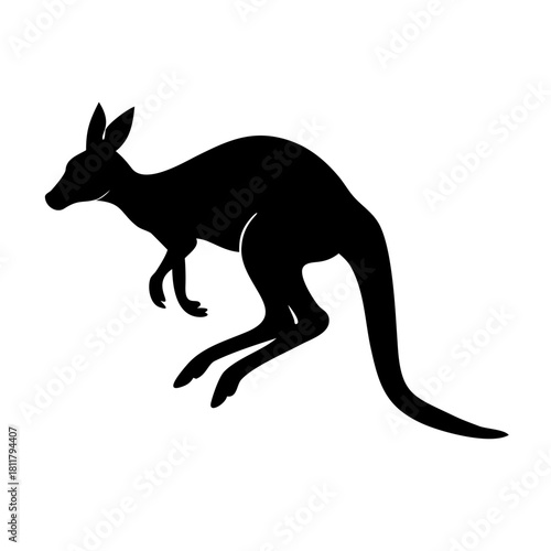 Exploring the Unique Characteristics and Habitats of Kangaroos in Australia exploring the unique characteristics and habitats of