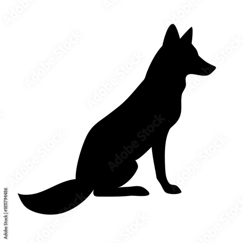 Understanding the Behavior and Care of Domestic Dogs in Modern Society understanding the behavior and care of