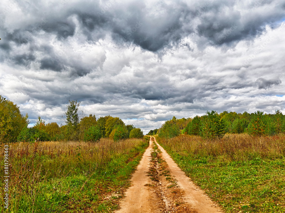 Fototapeta premium Explore the scenic dirt path through a lush green landscape under dramatic clouds