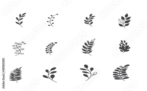 Hand drawn botanical leaf and foliage doodle icon set on white background.