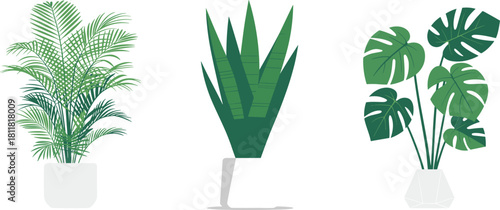 Indoor houseplants collection in decorative pots, tropical palm plant, snake plant, monstera leaves, modern interior greenery decor, cad drawing flat vector illustration