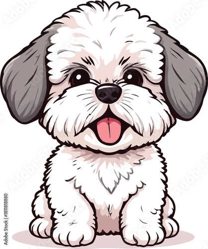Cute cartoon a illustrator vector Maltipoo