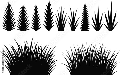 Grass and plant silhouette set, agave shapes, bushy clusters, landscaping elements, vector illustration, black composition, design reference