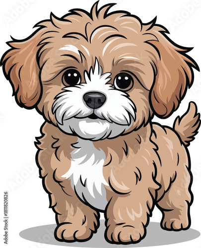 Cute cartoon a illustrator vector Maltipoo