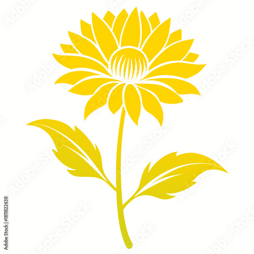 everlasting flower yellow silhouette