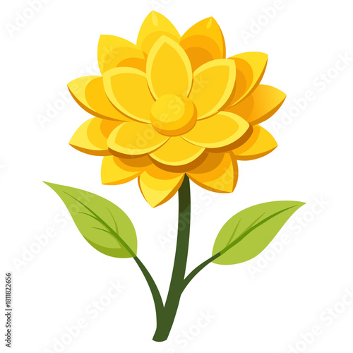  everlasting flower yellow 