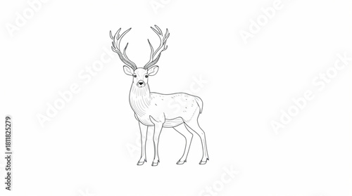 Deer silhouette illustration