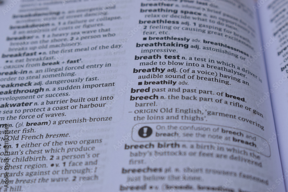 Obraz premium Definition Of English Dictionary Close Up Of Page With Word - bred