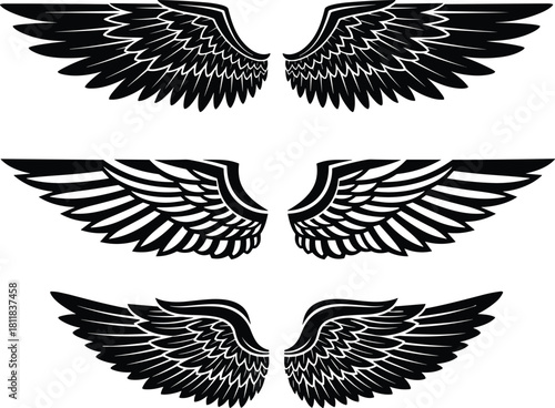 Angel wings silhouette collection, black bird feather set for tattoo and logo design, cad drawing flat vector 