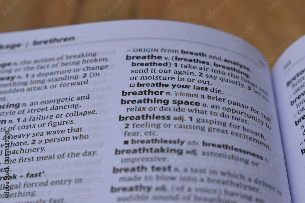 Obraz premium Close Up Of English Definition Dictionary Page Word Of - breather