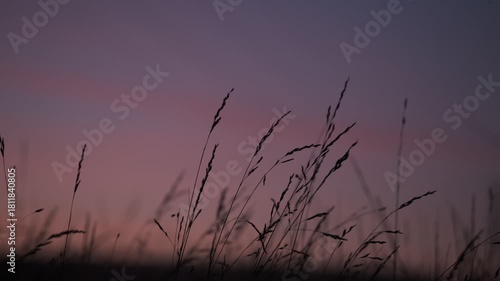 Naturaleza al atardecer