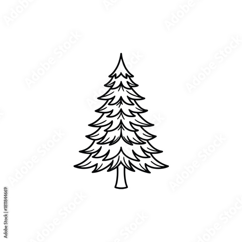 Minimalist spruce tree outline illustration on white background