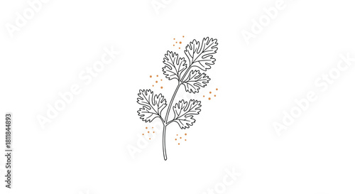 Minimalist line art illustration of a fresh cilantro or coriander sprig with leaves and stem accented by delicate golden dots.
