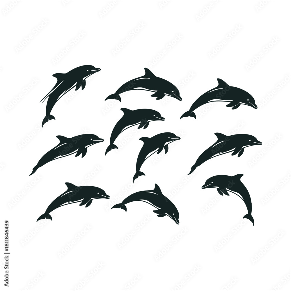 Fototapeta premium set of dolphins