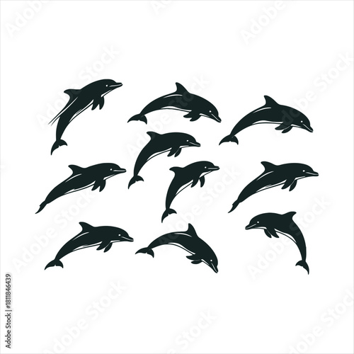 set of dolphins
