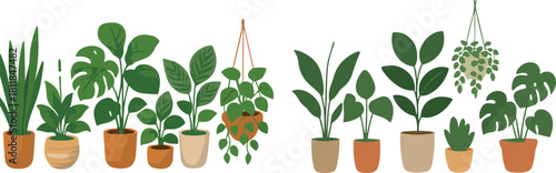 Indoor potted house plants collection, decorative greenery set, modern botanical design elements, tropical leaf illustration, cad drawing flat vector illustration