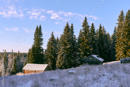 Barn and farmhouse at the Vindflosetra summer farm of the Totenåsen Hills, Norway, November 2025.