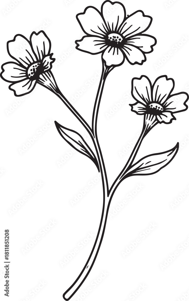 Obraz premium Delicate Wildflower Hand-drawn Sketch Drawing Vector Illustration, Line Linear Symbol Engraving Coloring Book, Black and White Isolated
