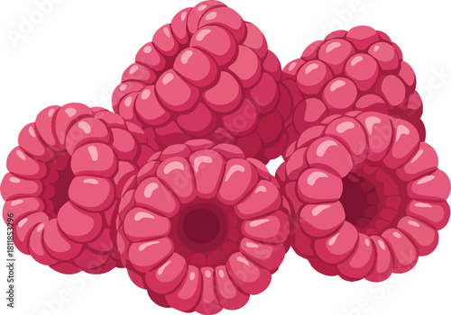 Illustration of four ripe, pink raspberries with detailed texture, arranged on a clean white background, conveying a fresh and healthy feel.