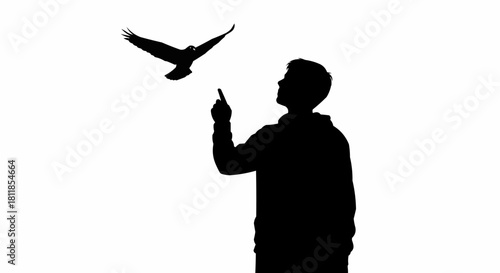 Silhouette of a person pointing at a bird in flight.