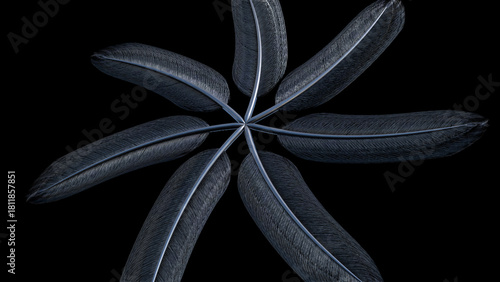 Abstract Metallic feathers. Computer generated 3d render