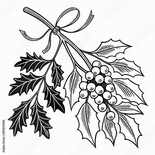 Ripe green grape bunch with leaves on a vine in a simple vector illustration